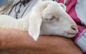 010115_God_Is_In_Love_With_You