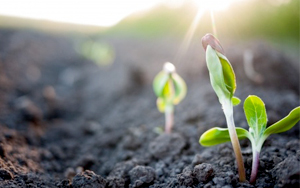 072215_New-Creation-Reality