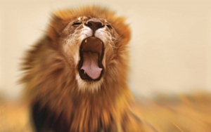 020416_The Power In Your Mouth